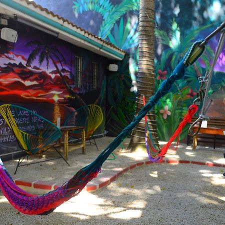 بلايا ديل كارمن The Yak Hostel المظهر الخارجي الصورة