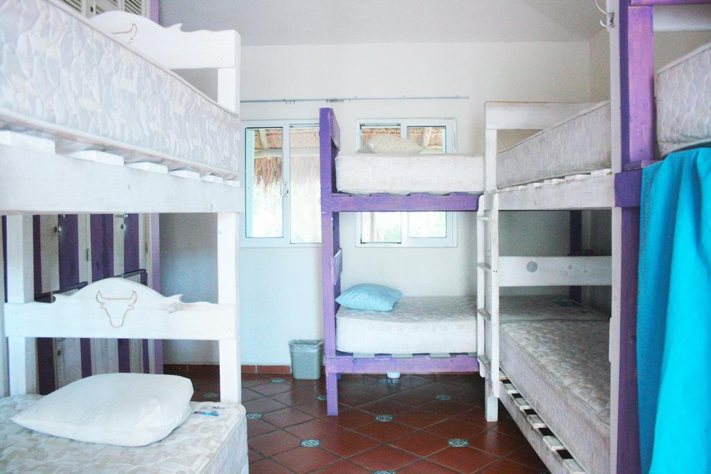 بلايا ديل كارمن The Yak Hostel الغرفة الصورة