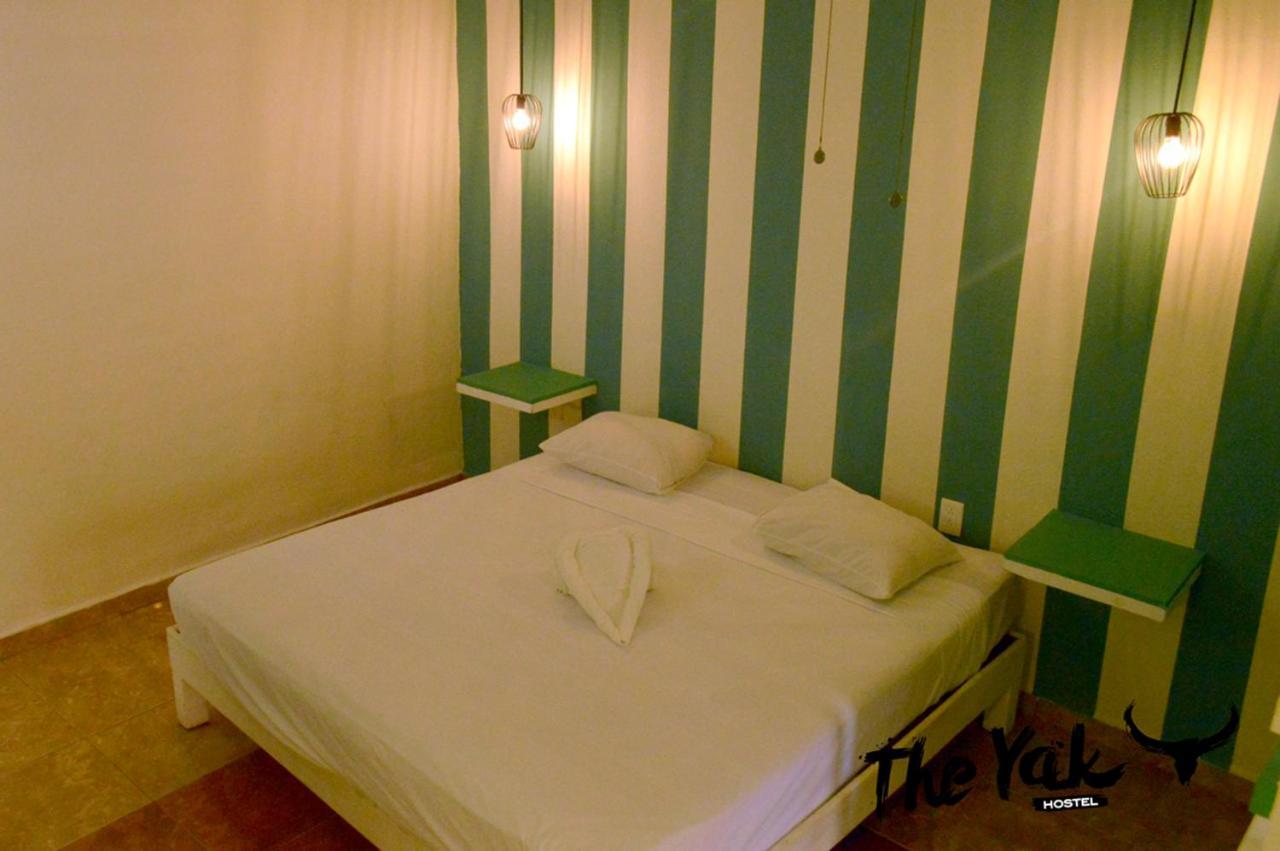 بلايا ديل كارمن The Yak Hostel المظهر الخارجي الصورة