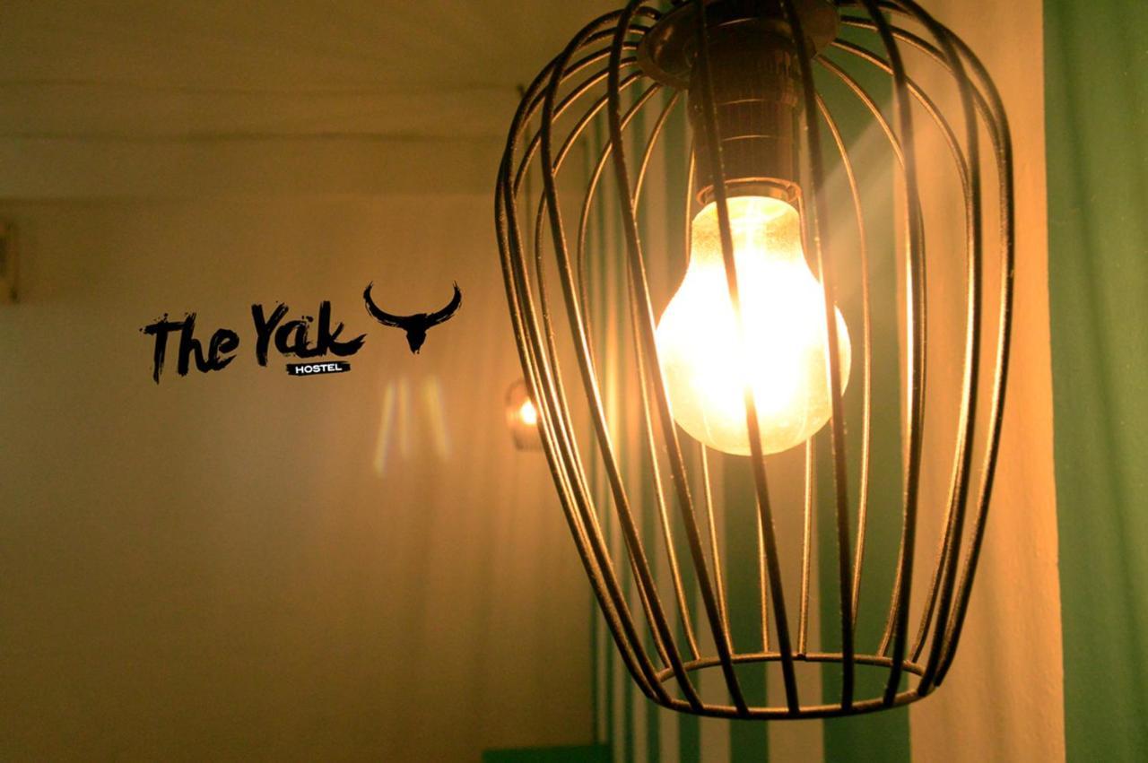 بلايا ديل كارمن The Yak Hostel المظهر الخارجي الصورة