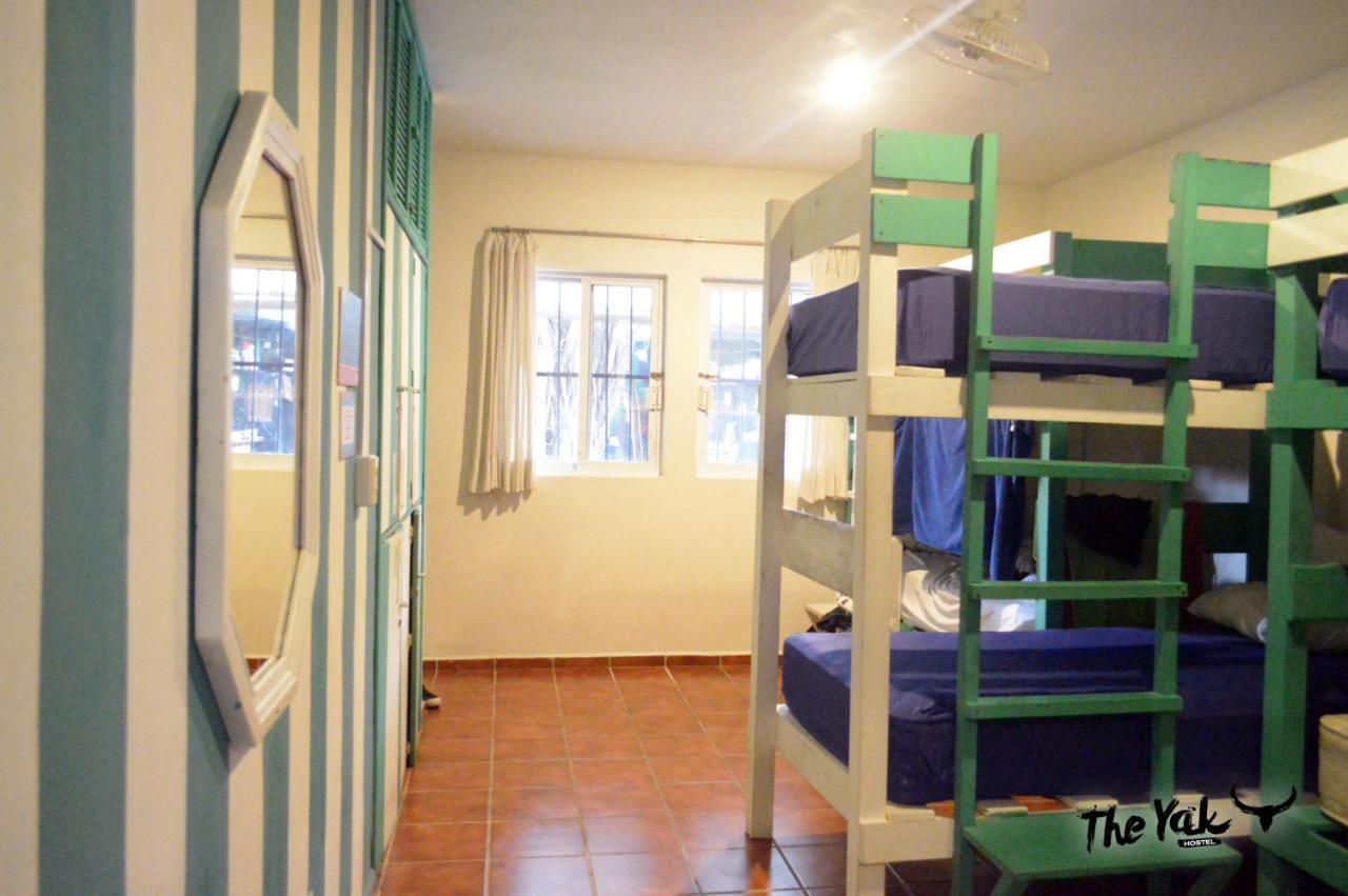بلايا ديل كارمن The Yak Hostel المظهر الخارجي الصورة