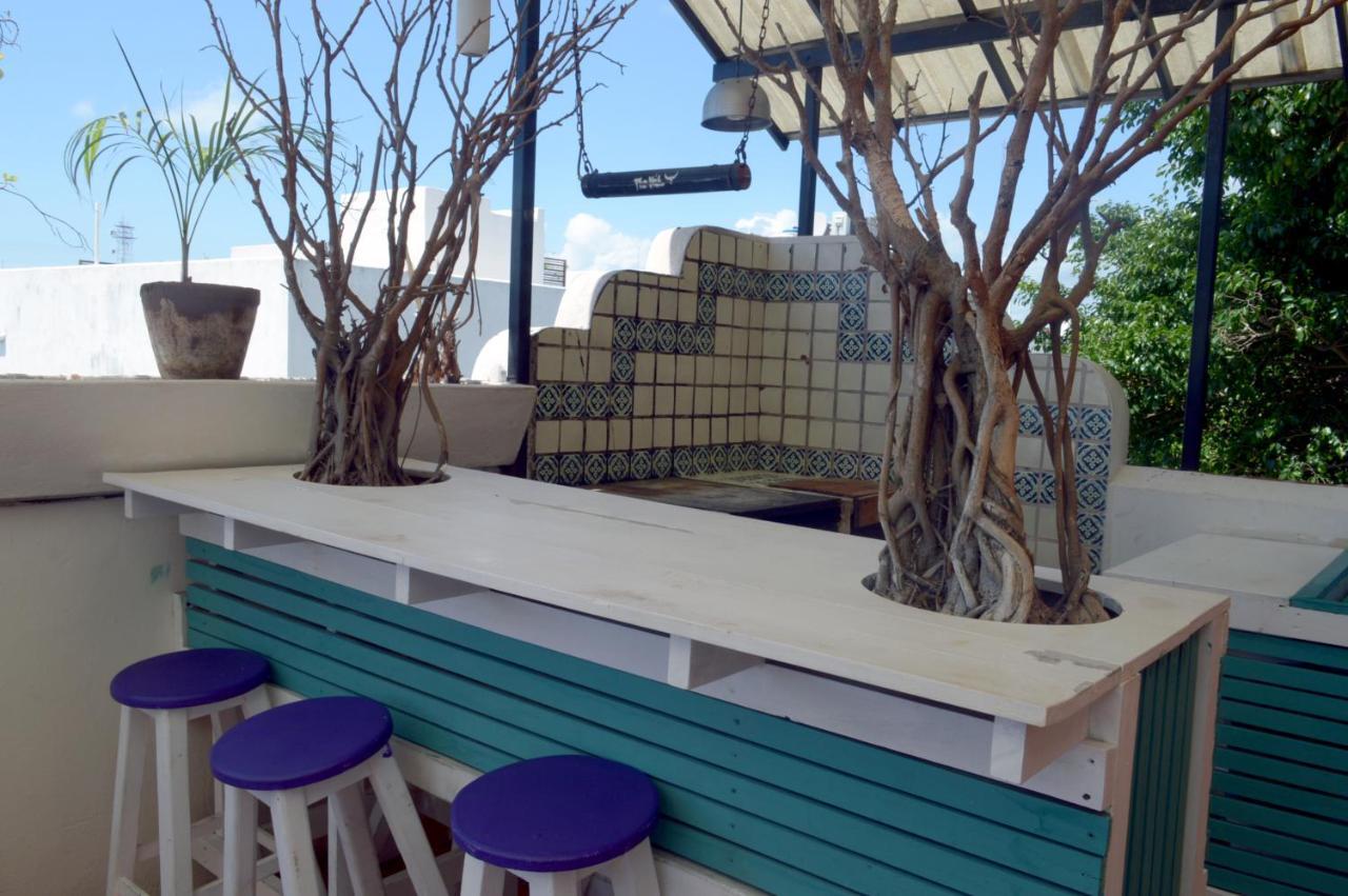 بلايا ديل كارمن The Yak Hostel المظهر الخارجي الصورة